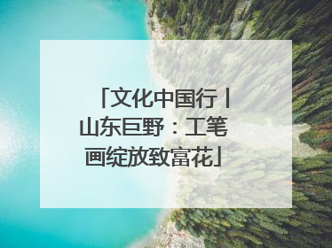 文化中国行丨山东巨野：工笔画绽放致富花